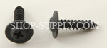 Black Phosphate Finish Trim Screws 6